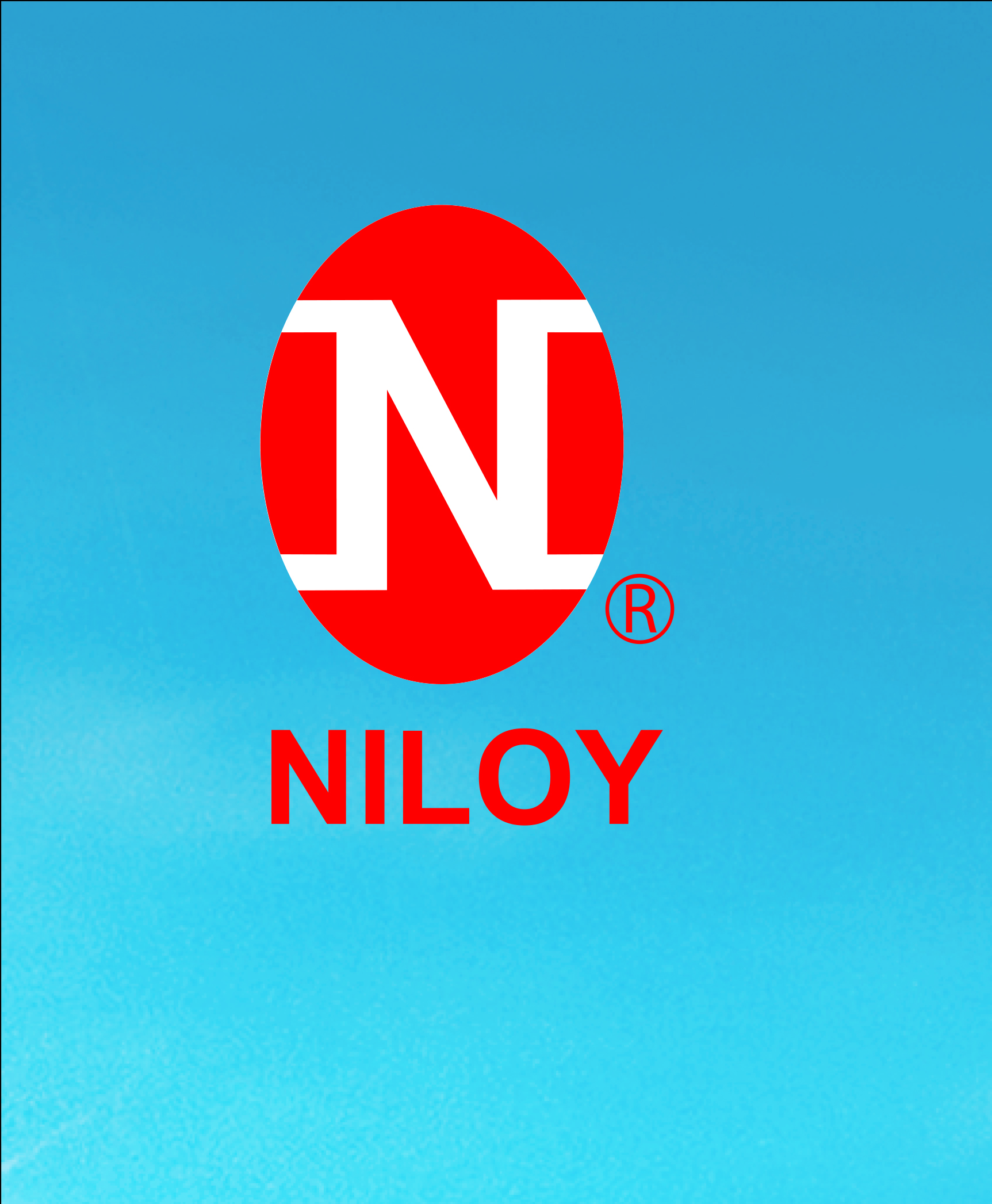 Nitol-Niloy Group